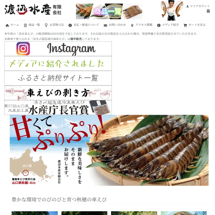 活き車えび 通販・お取り寄せ｜【山口】渡辺水産有限会社